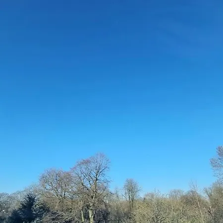 Daisy-gares Grd Palais Zenith&centre A Deux Pas Appartement