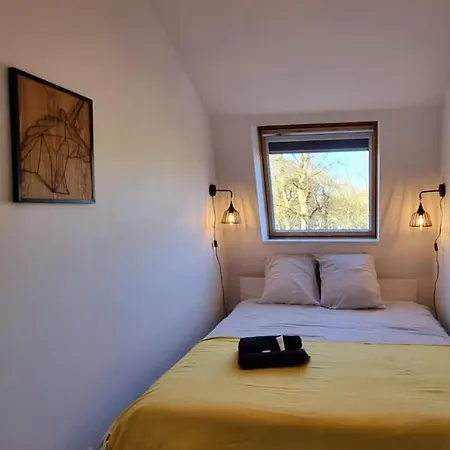 Appartement Daisy-gares Grd Palais Zenith&centre A Deux Pas *