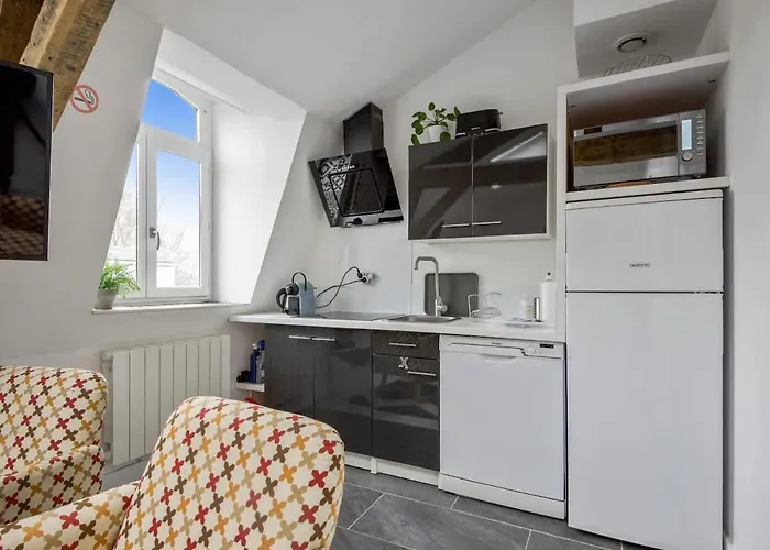 Daisy-gares Grd Palais Zenith&centre A Deux Pas * Lille