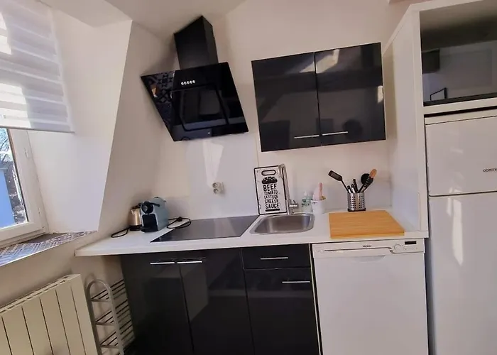 Daisy-gares Grd Palais Zenith&centre A Deux Pas Appartement *